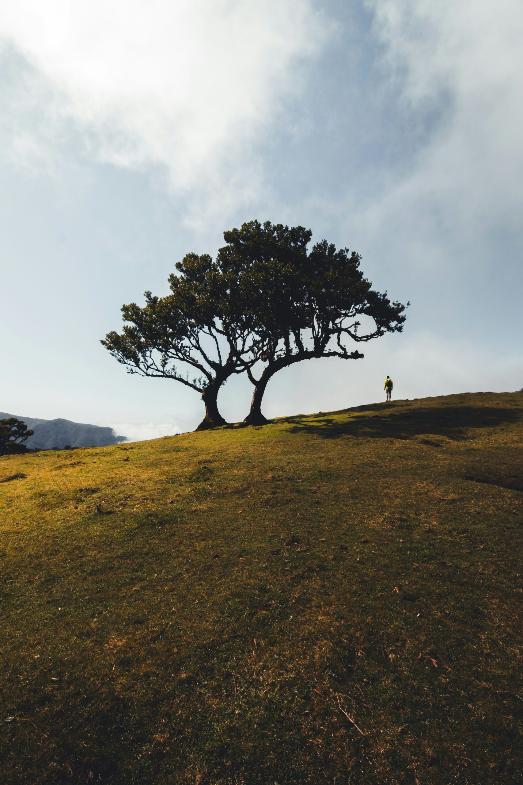 reinaldo photography brlqd qoazg unsplash (1)